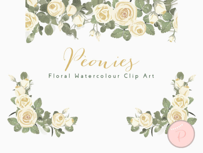 WCA79-ivory-peonies-floral-cliparts