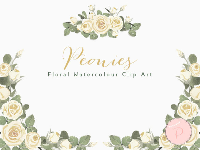 WCA79-ivory-peonies-floral-cliparts-borders