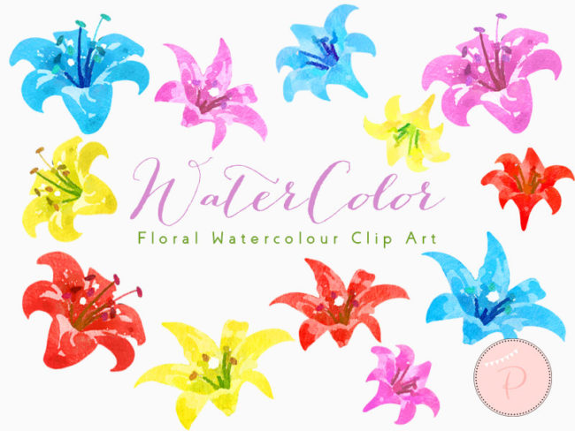 colorful-lily-watercolor-flower-spring-clip-art