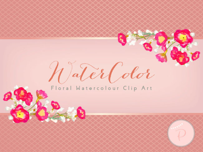 WCA91-pink-white-baby-breath-flower-clipart-borders