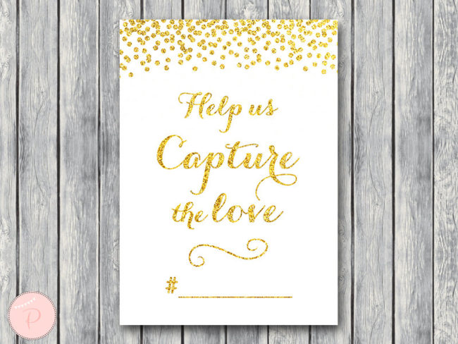 WD101-Help-us-capture-the-love