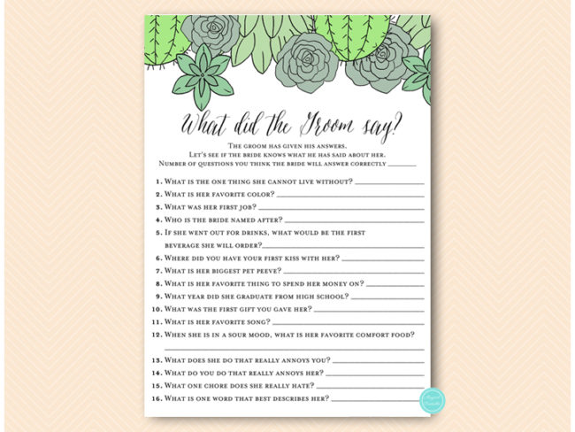 BS597-what-did-groom-succulent-wedding-shower