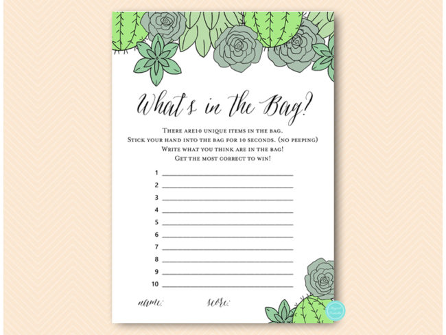BS597-whats-in-bag-succulent-wedding-shower