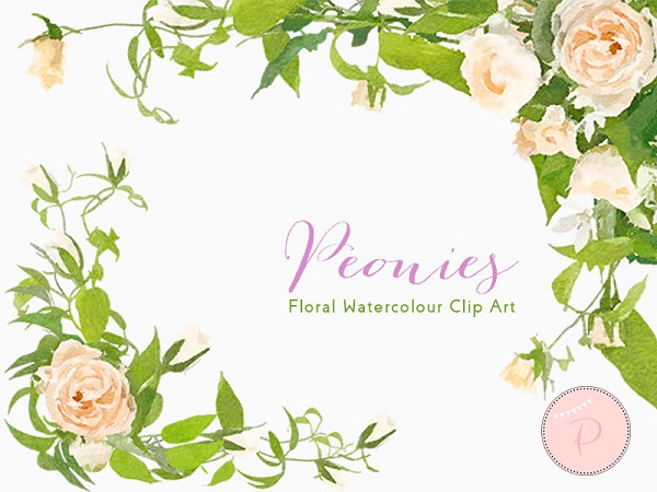 watercolor peonies wedding flower clipart